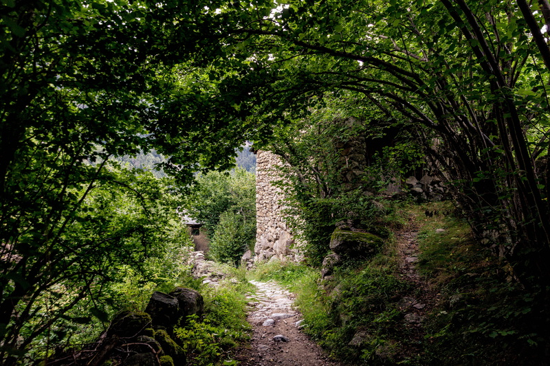 secret, day, hidden, the way forward, lost, nature, path, shelter, refuge, track, plant, caché, outdoors, trail, direction, beauty in nature, mountain