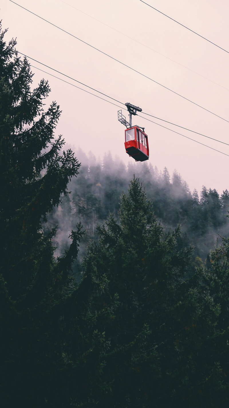 outdoors, plant, morning, fog, electricity, suisse, cable car, mountain, nature, téléphérique, photo, low angle view, no people, transportation, growth