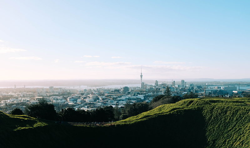tree, nature, built structure, copy space, city, no people, cityscape, sky, tower, cities, green, skyscraper, landscape, plant, vert, new zealand, mountain
