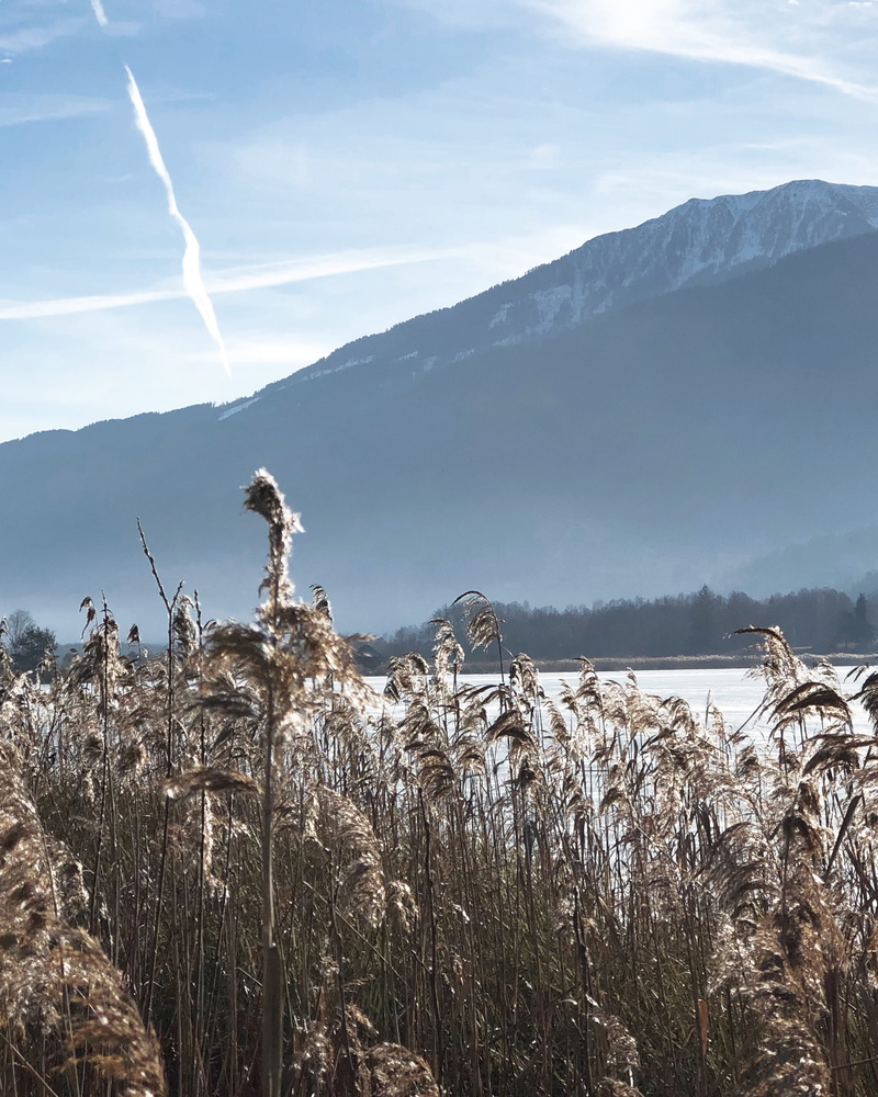 montagne, plant, non-urban scene, day, grass, ghiaccio, outdoors, mountain range, tranquil scene, mountain, cold temperature, winter, lawn, no people, 2K