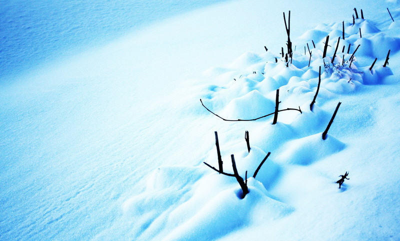 winter, hiver, 1080P, frozen, nature, snow, montagne, landscapes, neige
