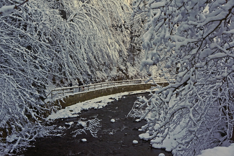 neige, landscapes, snow, hiver, winter, nature, montagne, 1080P, frozen