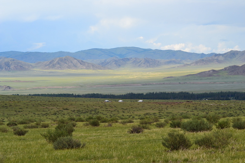 tranquil scene, yurts, mongolia, no people, nature, beauty in nature, field, cloud - sky, grass, tranquility, 4K, day, landscape, outdoors, land, altai