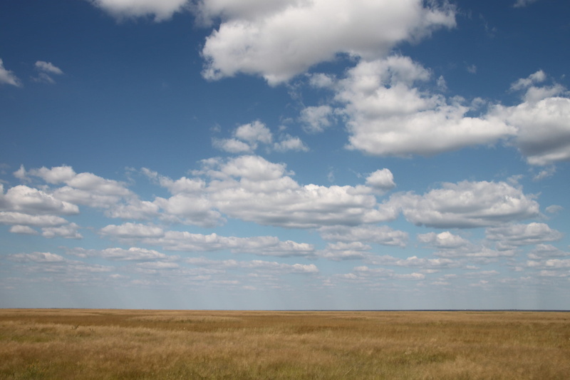 non-urban scene, sky, sun, steppe, nature, clear, land, summer, field, horizon, distance, tranquility, cloud - sky, veld, beauty in nature, scenics - nature