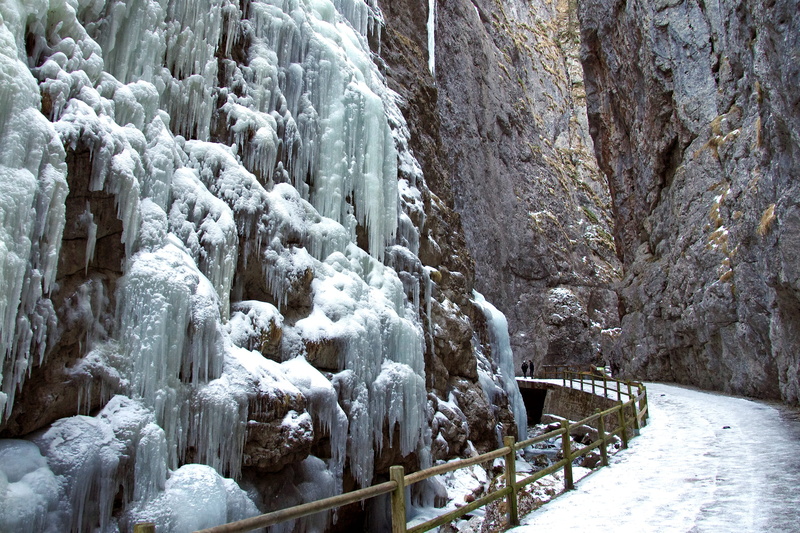nature, land, non-urban scene, tranquility, plant, icicle, ice falls, tree, outdoors, forest, cold, beauty in nature, tranquil scene, cold temperature