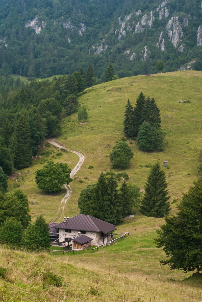 landscape, no people, house, tent, pine, day, high angle view, hut, italy, green color, trees, daytime, mountain, cottage, brown, chalet, building, plant