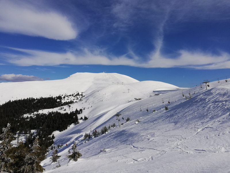 snow, day, environment, tranquility, sport, sports, plant, scenics - nature, fir, slope, beauty in nature, cold temperature, mountain peak, outdoors, covering