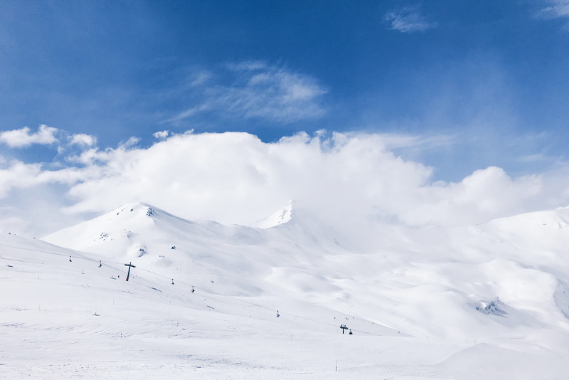  tranquility, sports, ice, forest, beauty in nature, cloud - sky, tranquil scene, peak, day, snow, piste, nature, scenics - nature, italy, trees