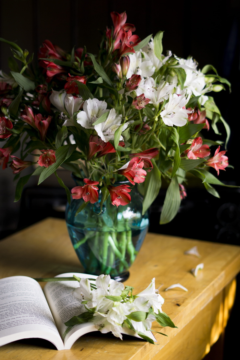 vase, plant, snow, red, outdoors, flower, flowers, no people, green, vase, piste, freshness, blue, flower arrangement, indoors, sport, close-up, flower bouquet