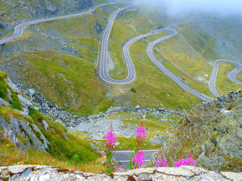 zigzag, serpentine, landscape, grass, 2K, route, flowers, nature and landscapes, mountain, green
