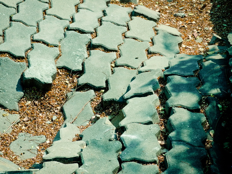 land, surface, no people, pattern, water, full frame, bricks, textured, solid, plant, sunken, nature, day, street, footpath, road, damaged, ground, rows