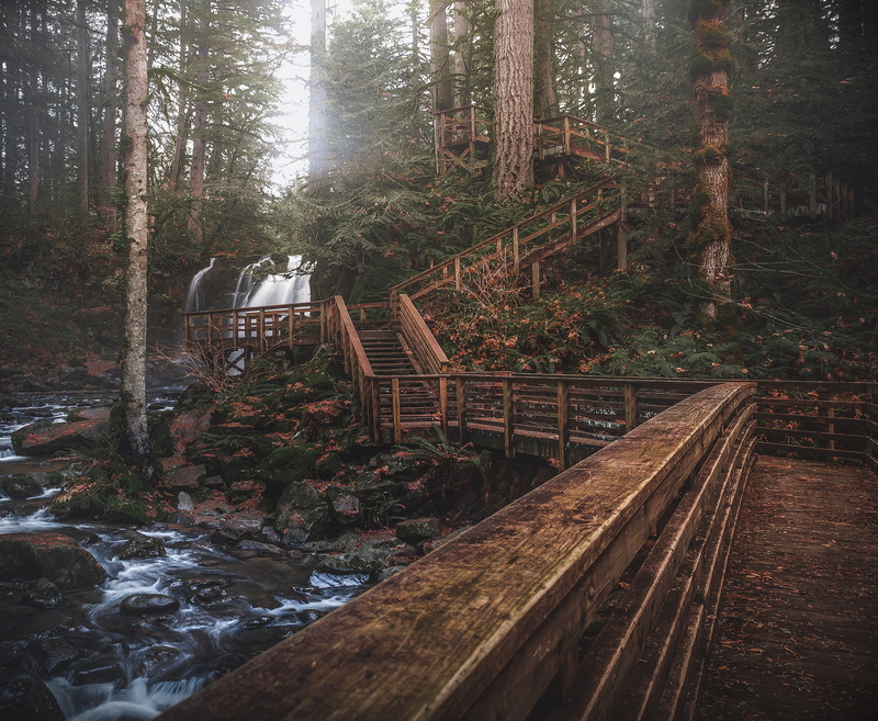built structure, land, wood - material, tree trunk, wood, woods, tree, no people, nature trail, 2K, white, nature, non-urban scene, rocks, outdoors, plant