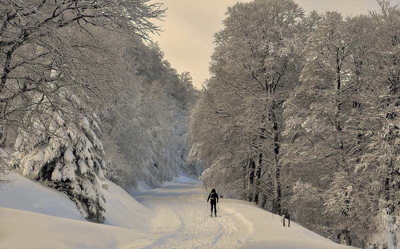 nevada, nature, real people, beauty in nature, snow, covered, unrecognizable person, mountain range, cold temperature, plant, scenics - nature, sport, travel