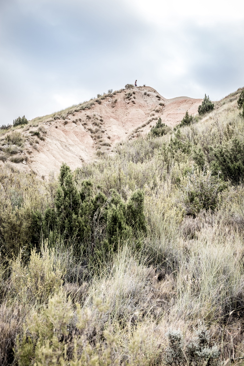 reserve, sand, range, park, road, growth, navarre, mountain, reales, land, arid climate, semi-arid, beauty in nature, no people, summer, spain, natural