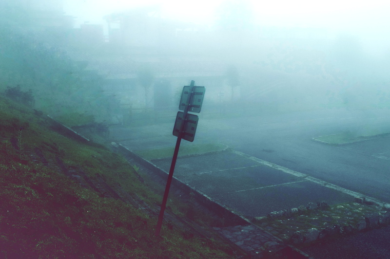 sign, green, no people, road, mountain, scenics - nature, traffic, tree, montaña, fog, tranquil scene, covadonga, tranquility, telephone booth, blue, signal