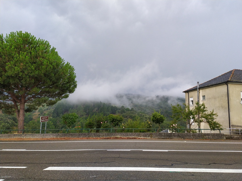 niebla, road, Santa Cruz (O Bolo), forest, Ourense, 4K