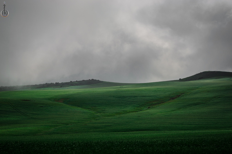 Niebla, sky, Green, Campo, mist, 4K, Brume, nature