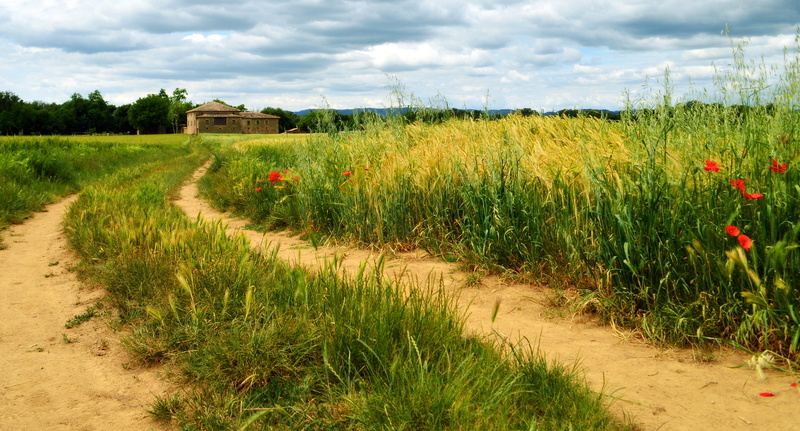 masia, cottage, Wolke, campagne, green, 5K, Path, nube, nature, campagna, summer, Mohn, grass, nuage, agriculture, villa, cloud, landscape, house, maison
