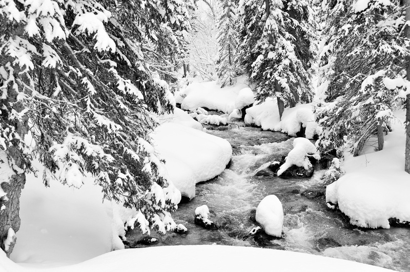 tranquility, no people, torrent, white, mountain, fir, land, france, cold temperature, tree, snowy, solid, landscape, flowing water, rock - object, frozen