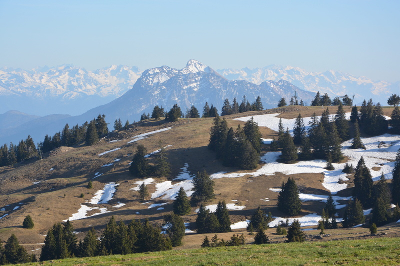 haute-savoie, pine tree, mountain range, hiking, mountain peak, tranquil scene, mountain, land, massif, tree, mountains, day, landscape, beauty in nature