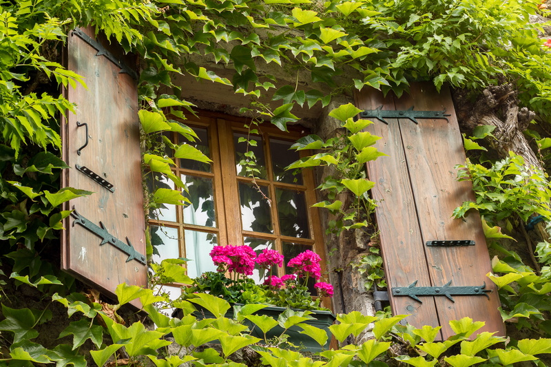 et, Gustave Flaubert, Auvergne-Rhône-Alpes, village, province, wooden, brown, en, house, le, wood - Material, La fenêtre, 5K, green Color, théâtre, daytime