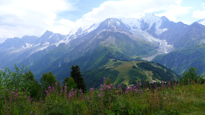 nature, no people, mountain, summer, snowcapped mountain, flowering plant, france, growth, mountain peak, sky, outdoors, beauty in nature, landscape, plant