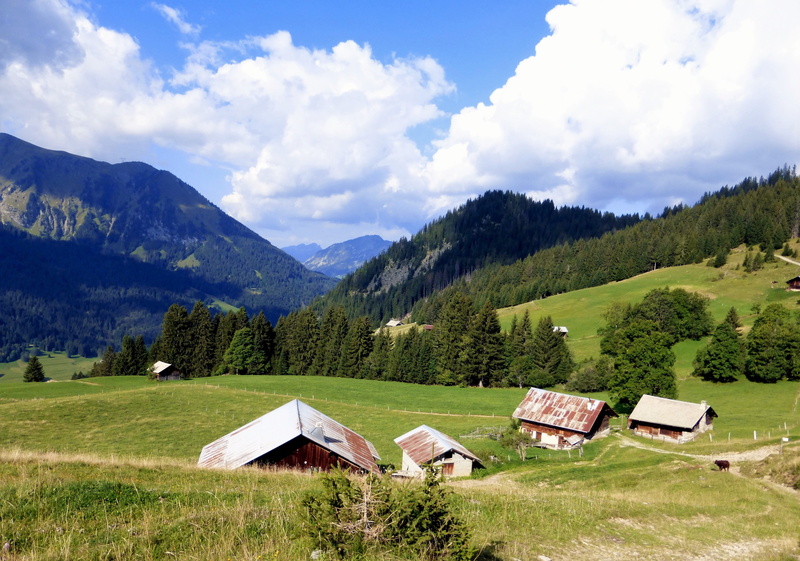 4K, nature, house, lawn, green color, outdoor, mountain range, sky, alps, tree, outdoors, meadow, pine tree, chalet, scenics - nature, landscape, haute savoie