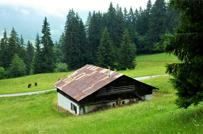 plain, chalet, built structure, building exterior, haute savoie, no people, architecture, summer, 4K, tranquility, landscapes, rural scene, environment