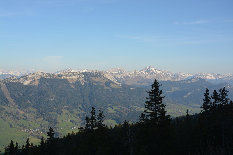 forest, idyllic, france, landscape, picture, pine woodland, mountain peak, pinaceae, tree, 5K, annecy, outdoors, tranquility, mont blanc, snowcapped mountain
