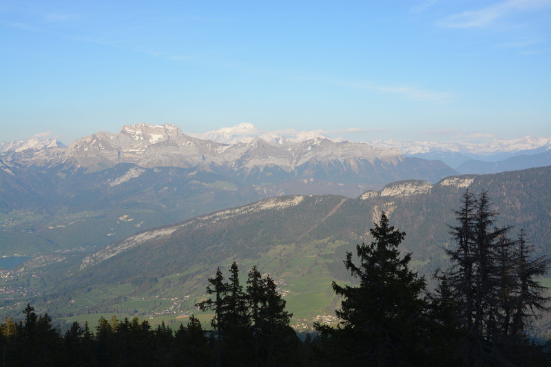 tranquility, france, forest, mountain, hiking, landscape, outdoors, plant, eternal snow, panoramic, growth, hazy landscape, land, sky, no people, non-urban scene