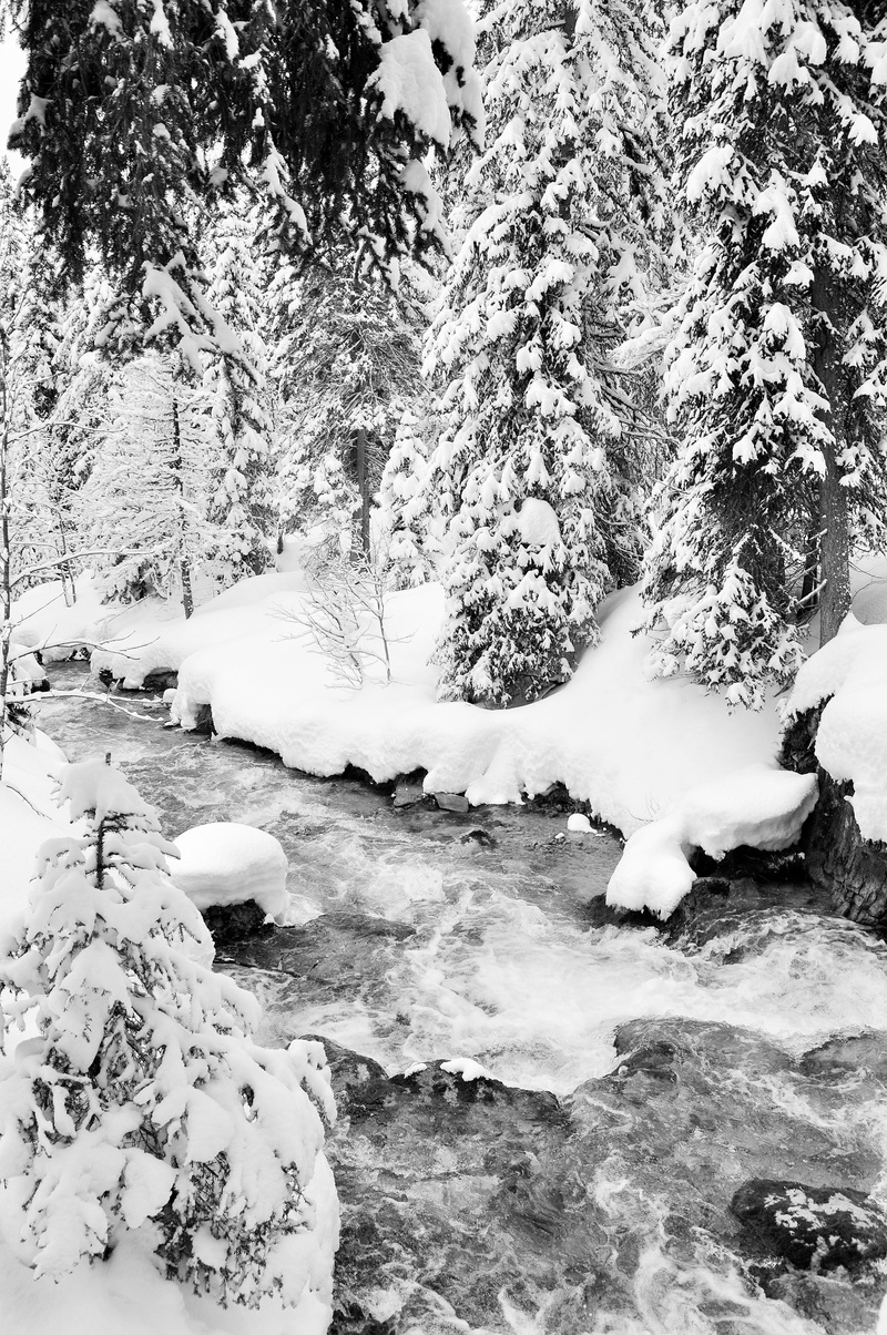 scenics - nature, winter, beauty in nature, tree, white color, haute-savoie, ski, tranquil scene, les 3 vallées, cold temperature, winter landscape, high alps
