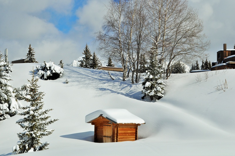 brown, building, high alps, mountaineering, day, les 3 vallées, chalet, cold temperature, land, winter landscape, wooden, scenics - nature, outdoors, nature