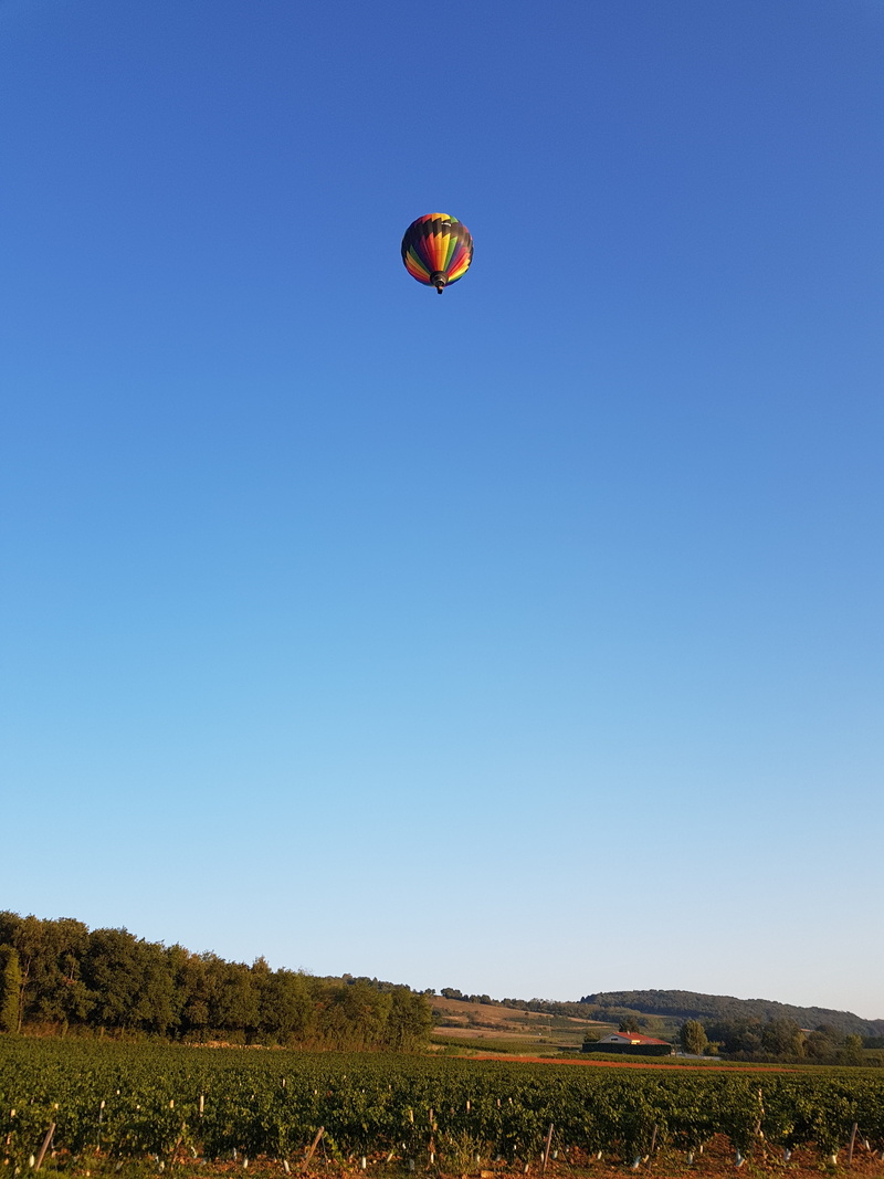 beauty in nature, alti-reve, day, field, scenics - nature, balloon, hot air balloon, no people, sky, mid-air, land, air vehicle, landscape, blue sky, beaujolais