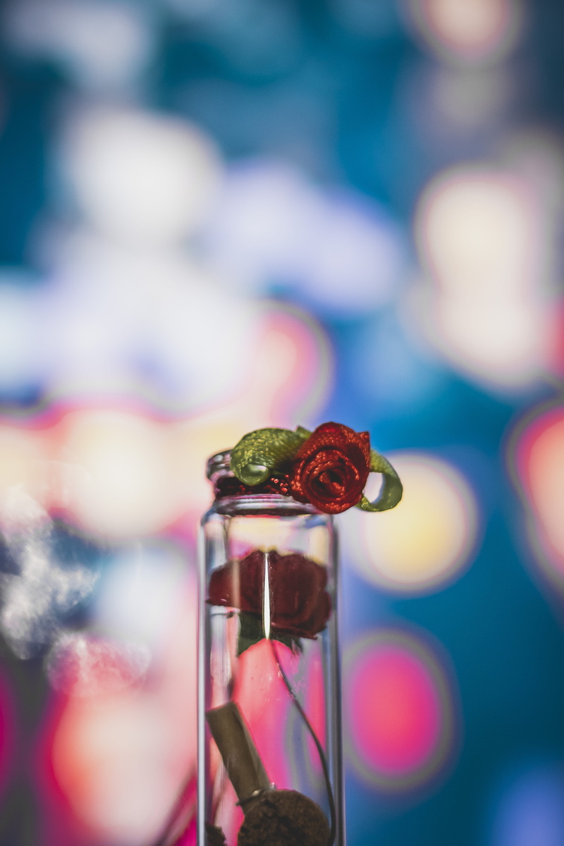 day, freshness, blur, flower, selective focus, focus on foreground, lights, sphere, macro, depth, plant, bokeh, focus, nature, neon, india, multi colored