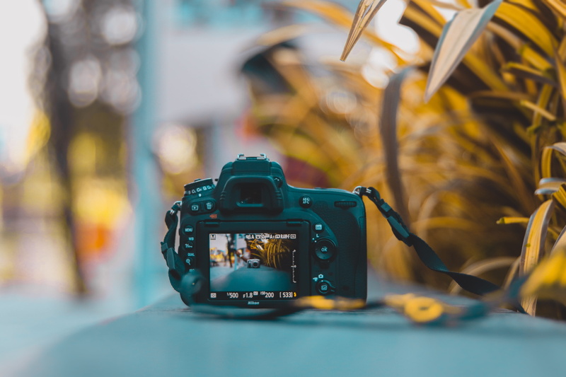  face, digital camera, close-up, digital, bokeh, moody, indoors, modern, electronics, india, plants, photo, portrait, photographer, activity