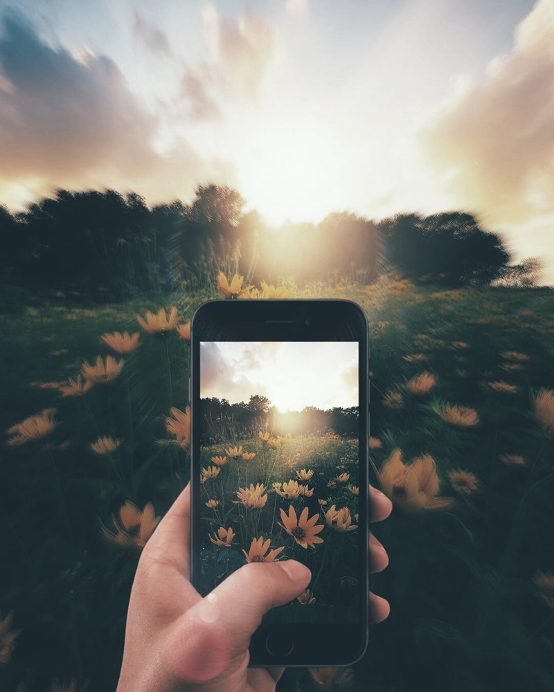outdoors, plant, landscape, edit, cloud - sky, smart phone, human body part, technology, faded, photographing, 720P, human hand, hand, wireless technology