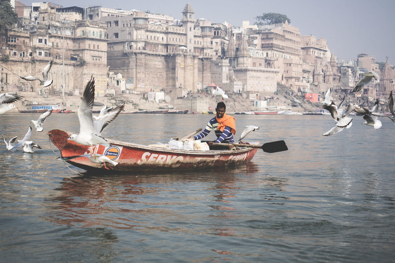 animal, lifestyles, tardition, people, architecture, 4K, teenager, color, monuments, building exterior, incidental people, waterfront, indian, transportation