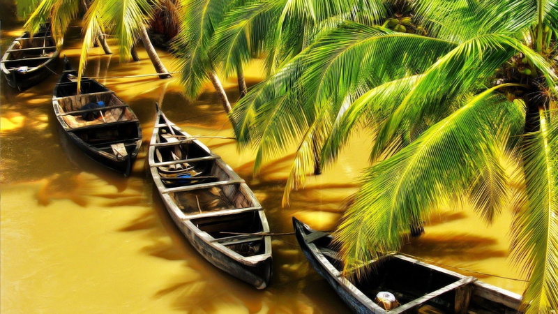 palm tree, high angle view, mode of transportation, palm leaf, travel, tourist resort, nature, moored, swimming pool, sea, 1080P, no people, canal, transportation