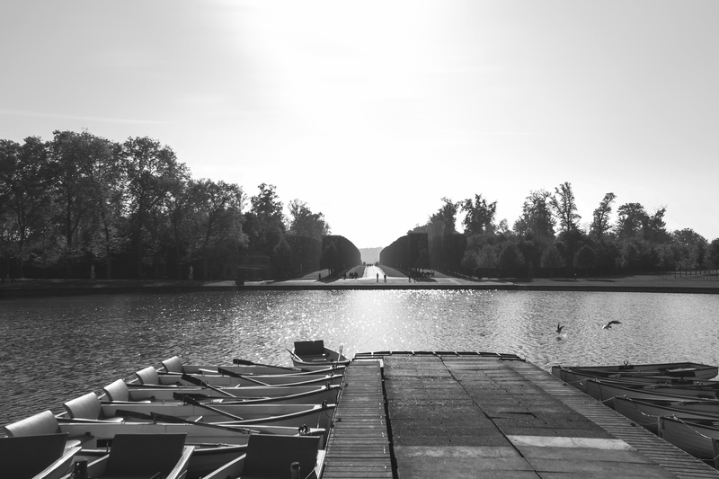 black-and-white, nautical vessel, water, nature, placid, fir trees, tranquil scene, outdoors, boat, tranquility, conifers, transportation, river, dock