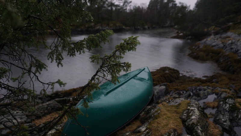 pollution, grass, recreational boat, outdoor, plant, body, tranquil scene, rock, mode of transportation, no people, trees, day, moored, tree, boat, beside