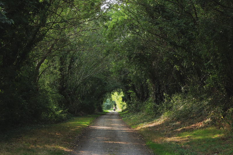 landscape, land, light, asphalt, bike, vendée, the way forward, transportation, person, plant, trail, path, diminishing perspective, dirt road, tranquil scene