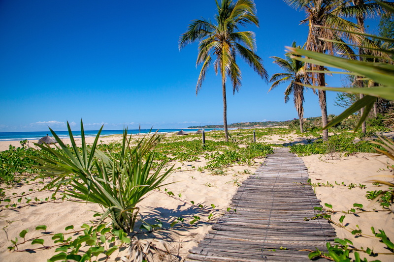 water, gree, tropical climate, sunlight, blue, trees, cycad, day, outdoors, scenics - nature, no people, waves, 5K, tree, horizon, land, the way forward
