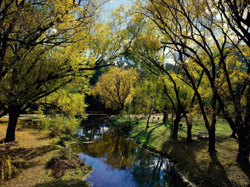 landscape, reflection, forest, beauty In Nature, scenics - nature, change, river, grees, non-Urban Scene, nature, outdoors, tranquility, yellow, no People
