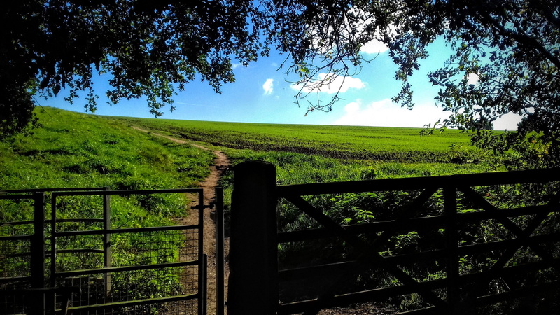 growth, blue sky, land, sky, environment, no people, united kingdom, gree, tranquil scene, davenham, field, outdoors, fence, landscape, green color, nature