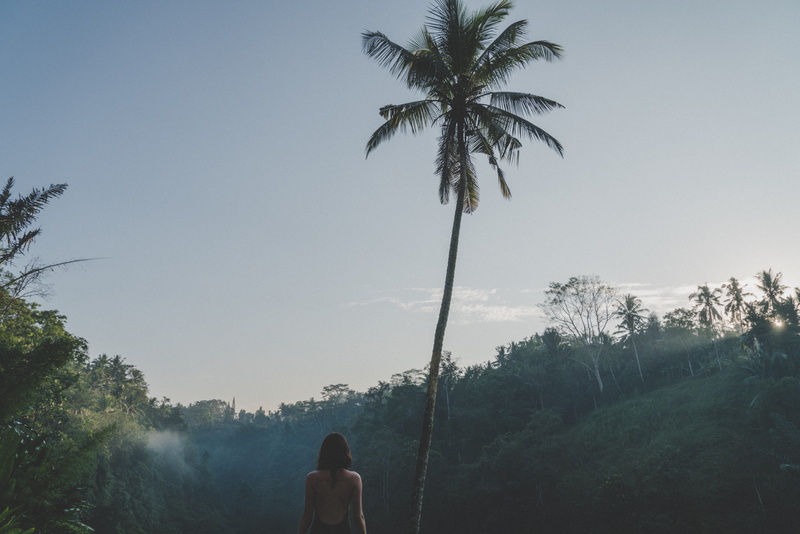 sit, wildness, growth, sitting, no worries, people, coconut palm tree, clear sky, sky, day, outdoors, gree, 8K, men, leisure activity, land, natural, indonesia