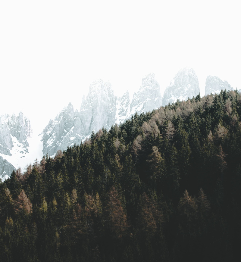 leafe, sky, winter, gree, 4K, green, hill, environment, forest, peak, beauty in nature, mountain, tree, covered, trees, pine, italy, photography, landscape