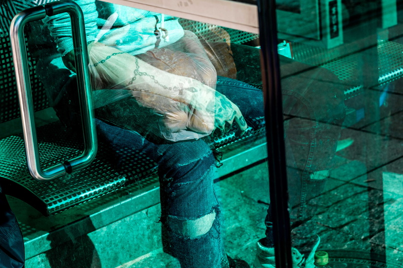 occupation, glass - material, man, human hand, one person, window, vertebrate, day, glass, transparent, graz, effort, men, animals in captivity, indoors