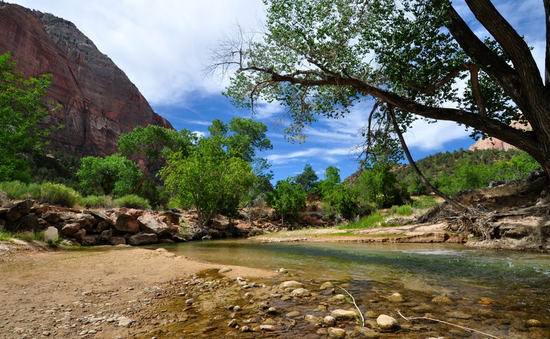 non-urban scene, tranquil scene, scenics - nature, day, Utah, flowing water, beauty in nature, 4K, tree, outdoors, cloud - sky, United States, sky, park