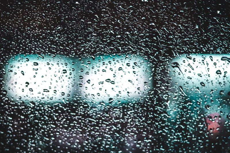 sony, purity, gree, full frame, close-up, rainy season, monsoon, photography, pattern, vehicle interior, experimential, fish, raindrop, canon, indoors