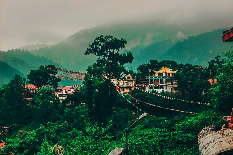 buddha, architecture, tree, nature, religion, nepal, temple, sky, no people, cloud - sky, 5K, green, trees, green color, view, forest, scenics - nature